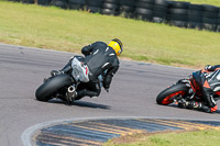 PJ-Motorsport-2019;anglesey-no-limits-trackday;anglesey-photographs;anglesey-trackday-photographs;enduro-digital-images;event-digital-images;eventdigitalimages;no-limits-trackdays;peter-wileman-photography;racing-digital-images;trac-mon;trackday-digital-images;trackday-photos;ty-croes